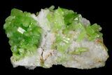 Vibrant Green Pyromorphite Crystal Cluster - China #177181-1